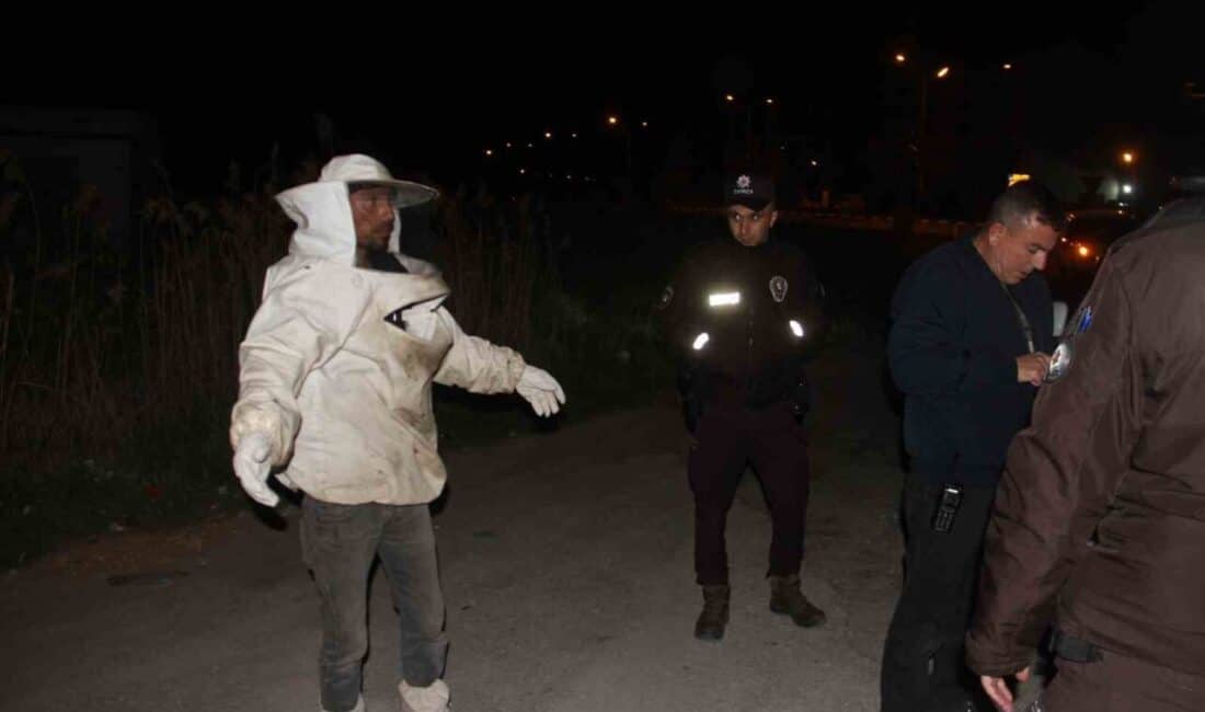 Konya'nın Beyşehir ilçesinde Hümmet K.'nın kullandığı arı kovanı yüklü kamyonet