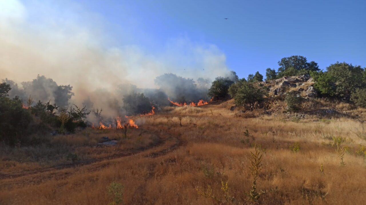 Adıyaman'da Karadağ Ormanlık alanında henüz nedeni belirlenmeyen bir yangın çıktı.