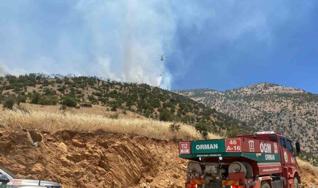 Kahramanmaraş'ın Türkoğlu İlçesi İmalı Mahallesi'nde sabah saatlerinde başlayan orman yangınına
